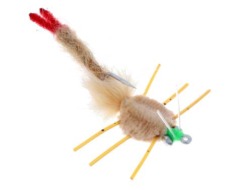 Mayan Claw Pumpkin Legs Lead Eyes
